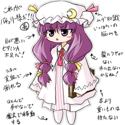 徒然なるままに 東方日記 February 09 徒然なるままに 東方日記 February 09