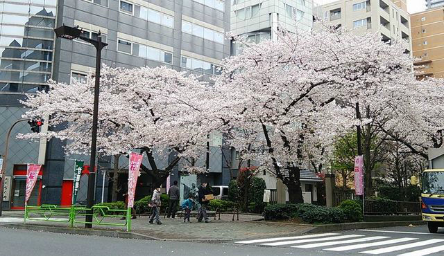 4月2日（土）四月花形歌舞伎に行ってきました！