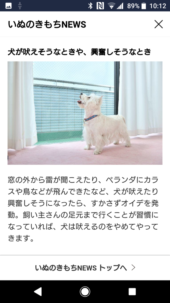 いぬのきもちニュース すくらっぷｂｏｏｋ