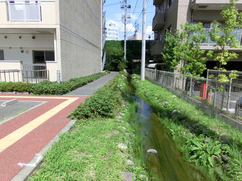 CIMG0076