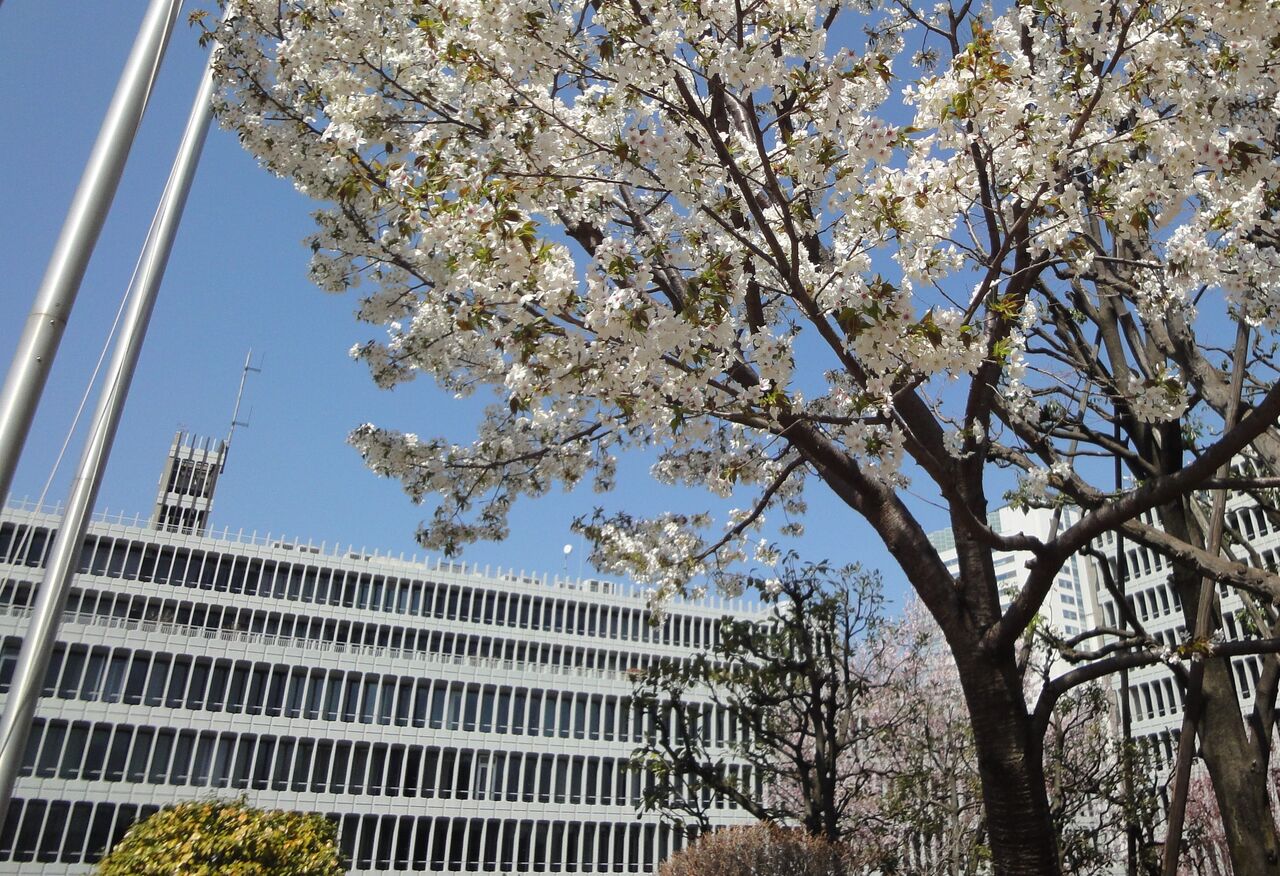経営なき破綻平成生保危機の真実 | 植村 信保 |本 | 通販 | Amazon