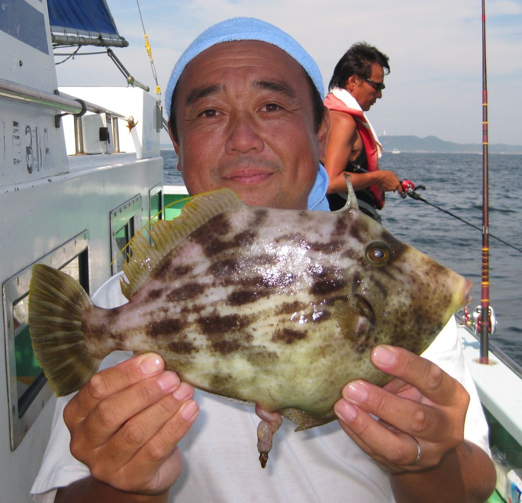 カワハギ釣り連日絶好調 釣り船一郎丸の ブログ 神奈川県横須賀の釣り船
