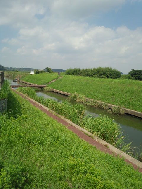 今回の旅先は 川遊びの真骨頂 印旛沼でフィッシング 家族でおでかけ 関東の穴場スポット 旅先案内 Blog 今回の旅先は 川遊びの真骨頂 印旛沼でフィッシング 家族でおでかけ 関東の穴場スポット 旅先案内 Blog