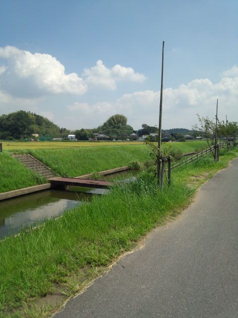 今回の旅先は 川遊びの真骨頂 印旛沼でフィッシング 家族でおでかけ 関東の穴場スポット 旅先案内 Blog 今回の旅先は 川遊びの真骨頂 印旛沼でフィッシング 家族でおでかけ 関東の穴場スポット 旅先案内 Blog