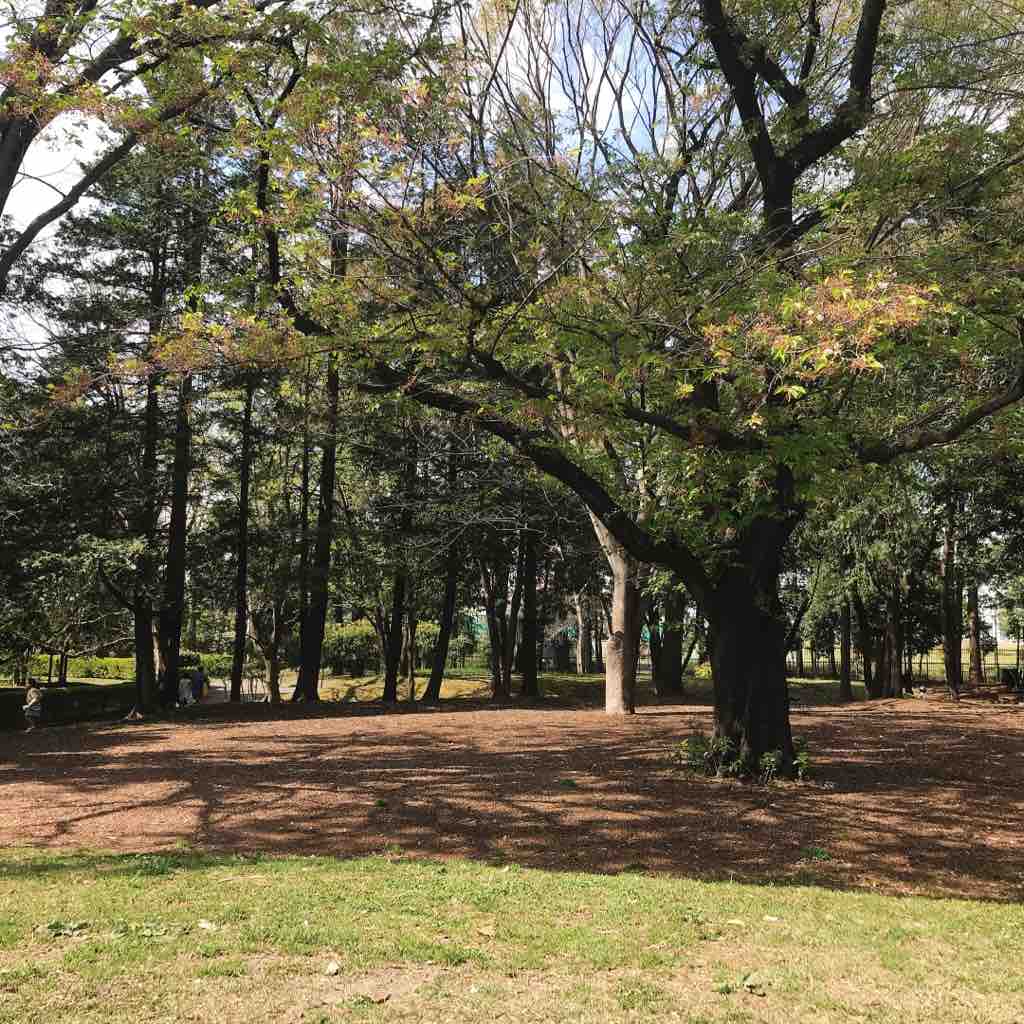 ソーシャル ディスタンス 週末のひとりピクニック つぎの角をまがったら