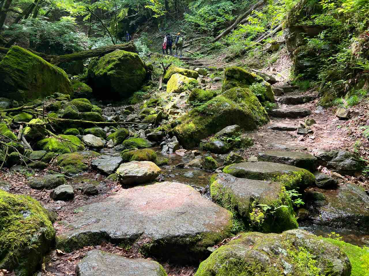 御岳山登山 ケーブルカー～御嶽神社～ロックガーデン@御岳山 : つぎの