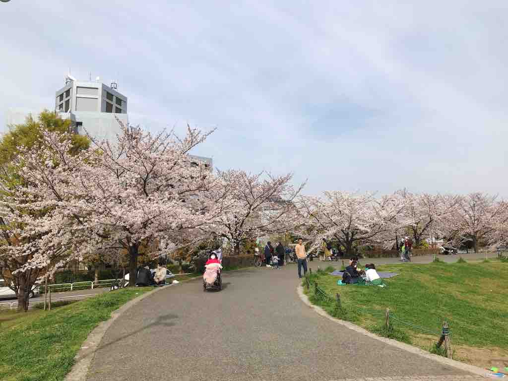 汐入公園でクイックお花見 つぎの角をまがったら 汐入公園でクイックお花見 つぎの角をまがったら