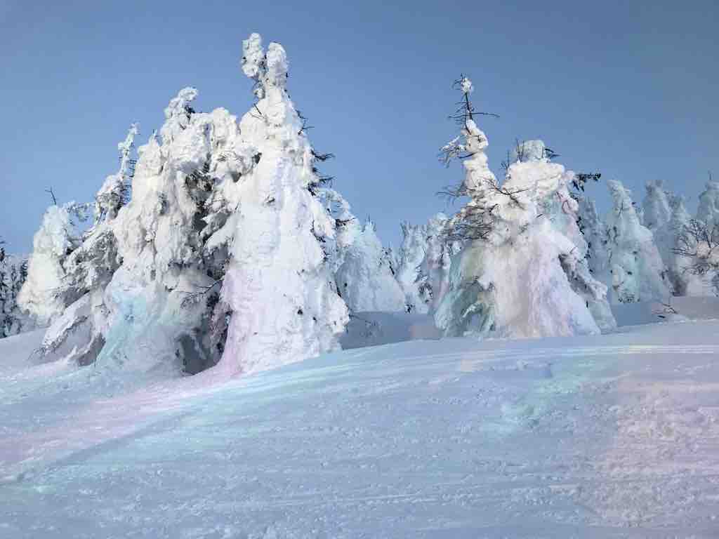 ナイトクルーザーでライトアップ？した樹氷 - 2021.02 山形蔵王