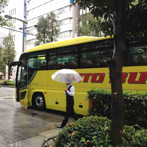 真っ赤なもこもこコキアに胸キュン、でも強風辛い - 2019.10 コキア日帰りバスツアー vol.1