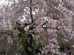 IMG_1736