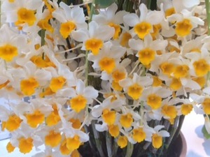 IMG_1053
