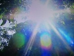 __ (803)