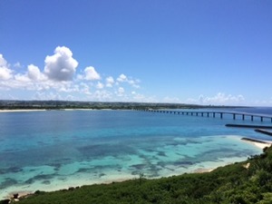 IMG_8769