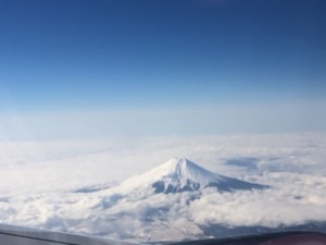 IMG_6940