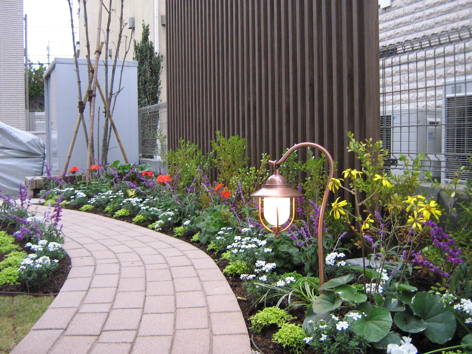 冬の花壇 お庭と草花