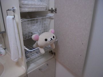 DSCN5229
