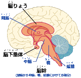 pic_karada_karada201c_wak02031