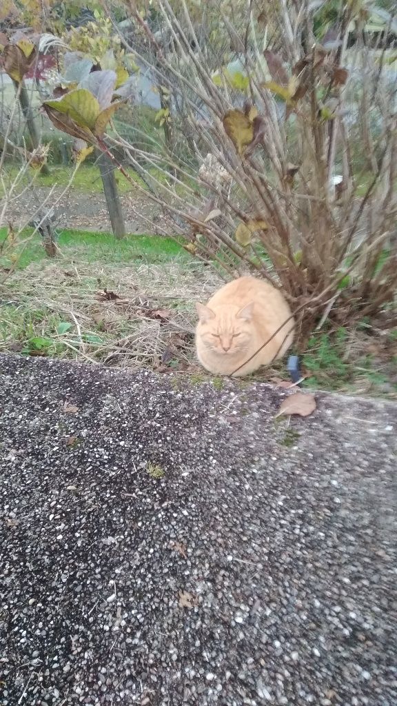 2019年02月22日 : 我ながらブルースのblog