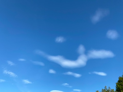 4908193789212957100.193c501490df6ec93e3e07cf0481f16c.23072413