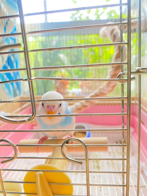 4908193789212957100.c197dae0a637a1b1446ac29aa3f16913.23072413