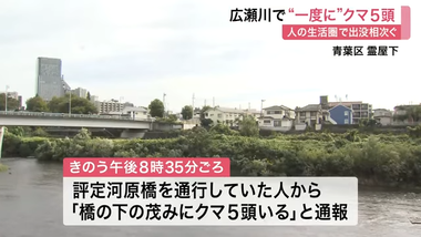 videoframe_3250