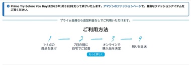SnapCrab_NoName_2025-1-16_20-51-43_No-00