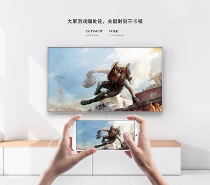 Smartisan-jianguopro2s