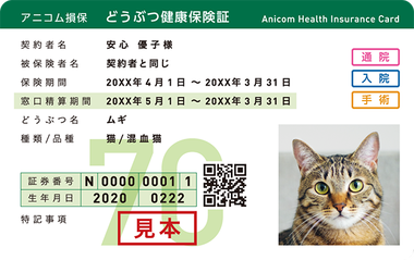 cat_hokensyo