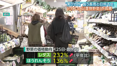 videoframe_41259