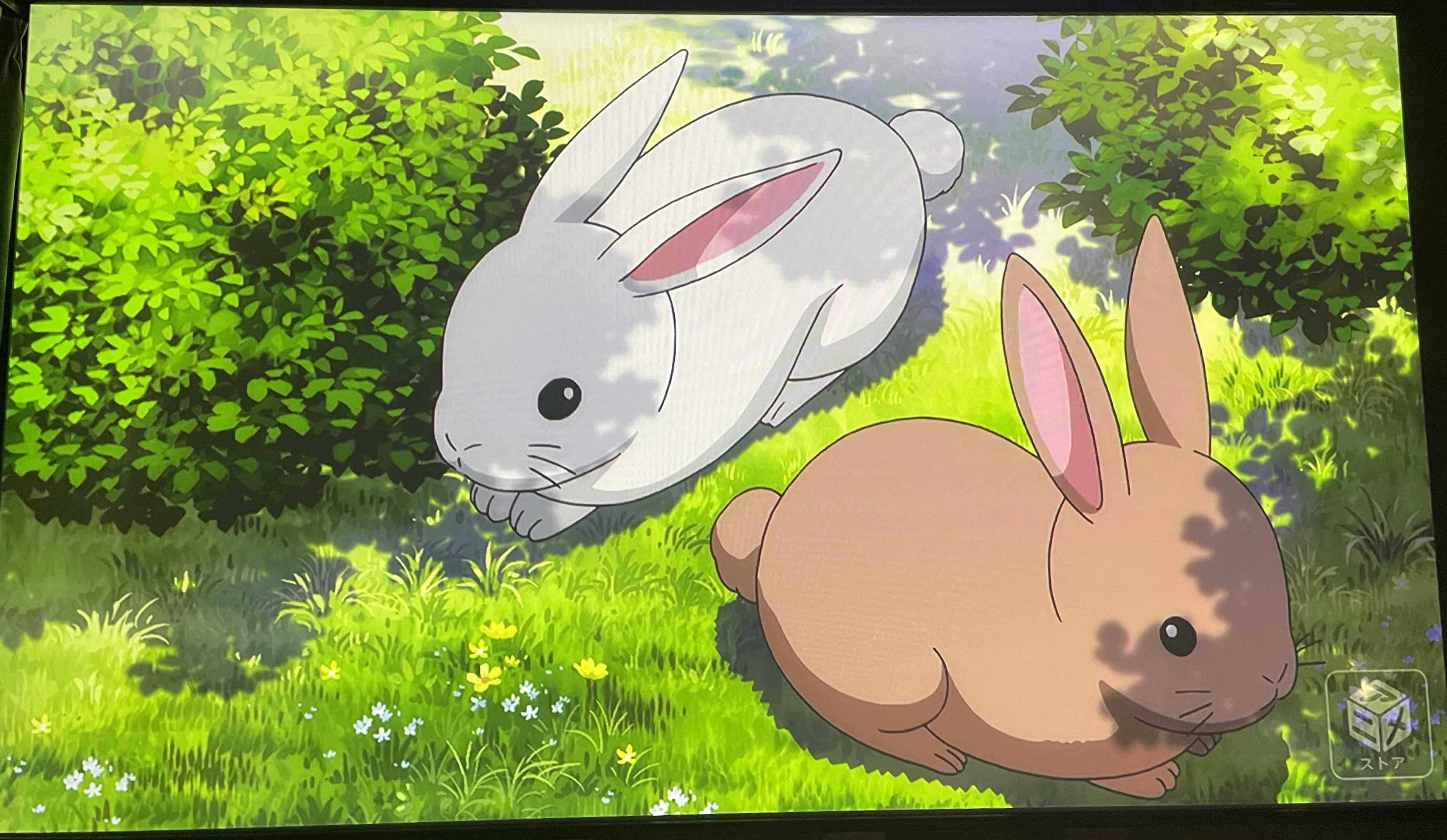 Osrs Rabbit