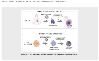 SnapCrab_NoName_2023-12-23_12-49-5_No-00