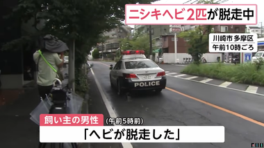 videoframe_2801