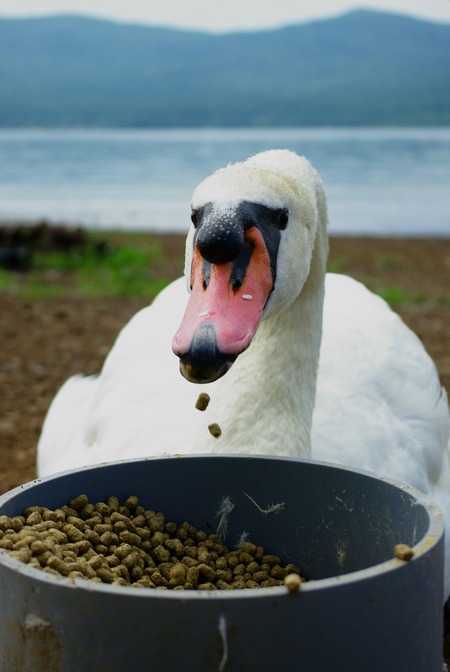 e00091323-1422975582