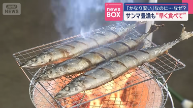 videoframe_2431