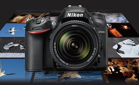 Nikon-D7200-sample-images-550x338