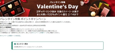 SnapCrab_NoName_2024-2-10_10-56-59_No-00