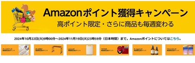 SnapCrab_NoName_2024-11-2_20-19-26_No-00