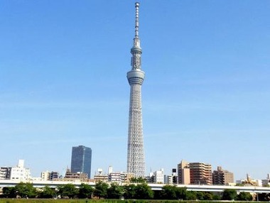 88ece08d893fe22896c9fbc31e51d11d_t