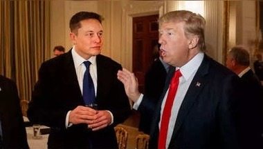 is-elon-musk-supporting-donald-t