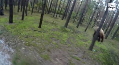 SnapCrab_NoName_2014-11-30_22-1-29_No-00