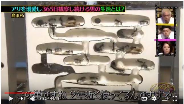 悲報 ワイ クレイジージャーニーが終了した悲しみがまだ癒えない ポンコツ速報