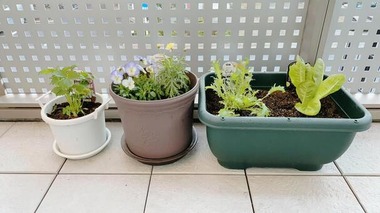 ed7f0dfe06d956c7db7a8ad2ec24e7c8_t