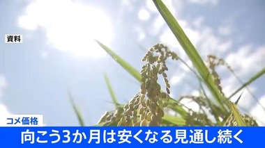 SnapCrab_NoName_2026-5-11_16-34-1_No-00
