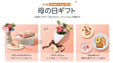 SnapCrab_NoName_2023-5-11_22-14-33_No-00