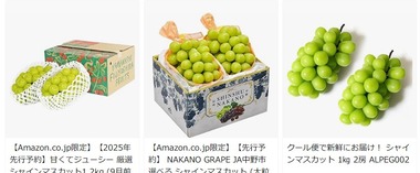 SnapCrab_NoName_2025-8-17_17-56-38_No-00