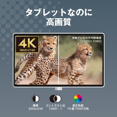 61AzRuo8tXL._AC_SL1000_