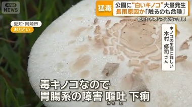 SnapCrab_NoName_2026-9-12_22-21-0_No-00