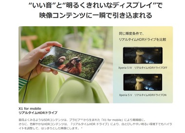 SnapCrab_NoName_2023-9-1_16-21-18_No-00