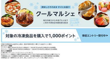SnapCrab_NoName_2025-7-1_17-44-1_No-00