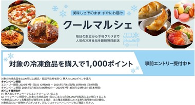 SnapCrab_NoName_2025-7-7_11-31-1_No-00
